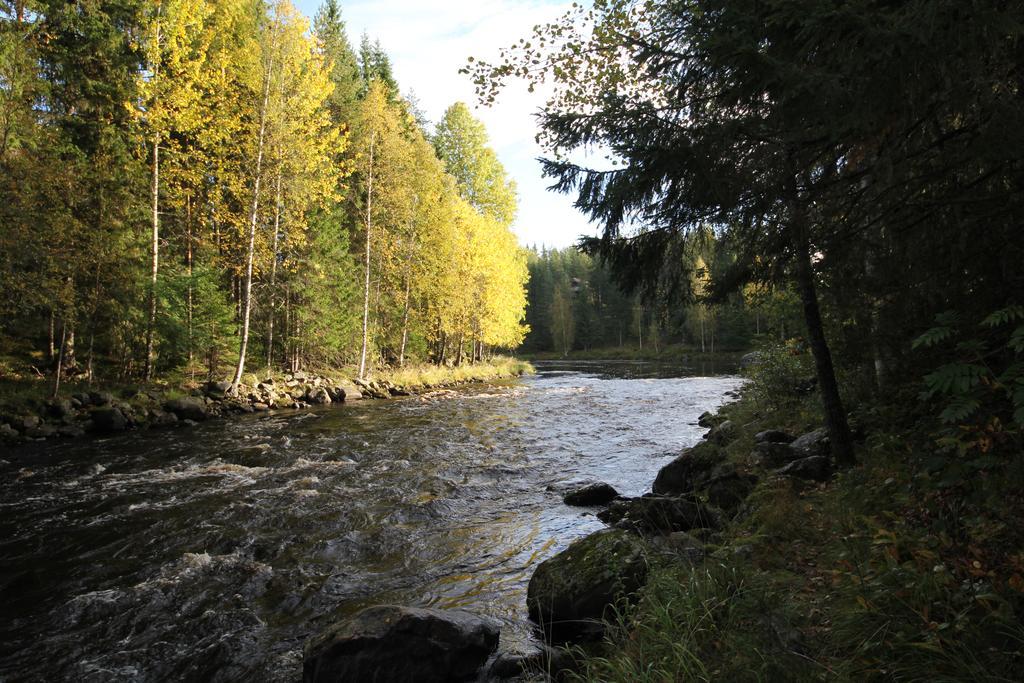 Keskikosken Lomamoekit Venajanjarvi Extérieur photo